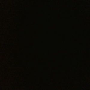 Meet your Posher, Will